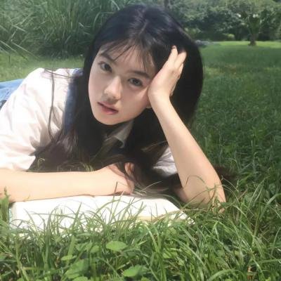 鸽之翼